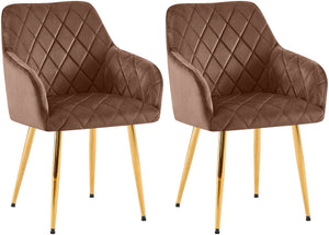 Set van 2 eetkamerstoelen Monett met fluwelen bekleding