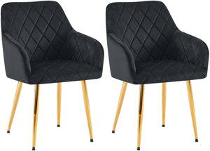 Set van 2 eetkamerstoelen Monett met fluwelen bekleding