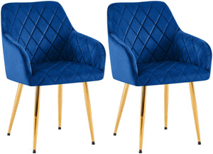 Set van 2 eetkamerstoelen Monett met fluwelen bekleding