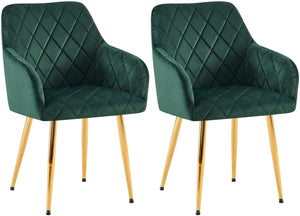 Set van 2 eetkamerstoelen Monett met fluwelen bekleding
