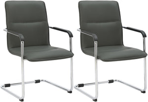 Set van 2 sledestoelen Seattle kunstleer